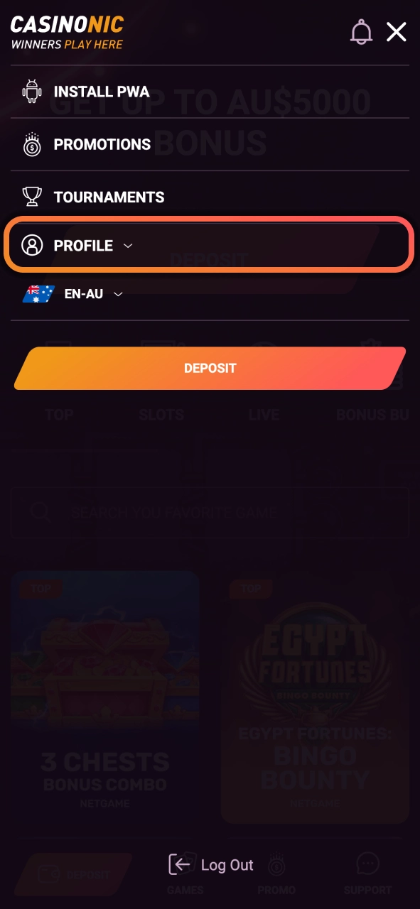 Return to Casinonic and finish your account setup to access all platform features.