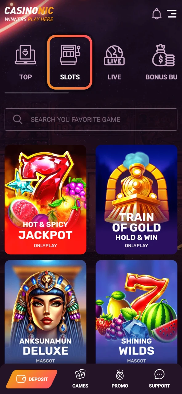 Open the slots lobby at Casinonic and explore games by theme volatility or provider.