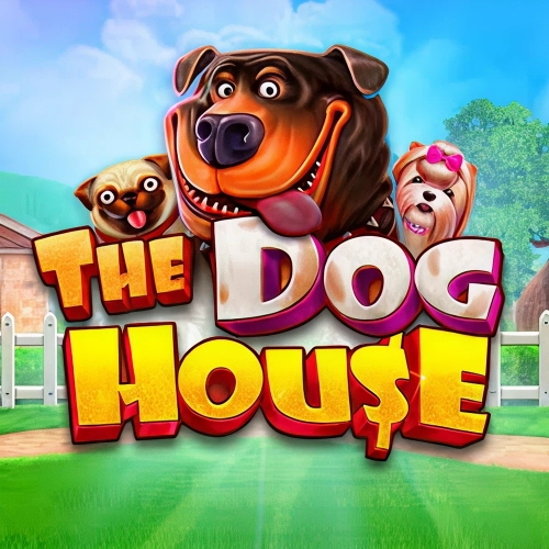 Spin The Dog House at Casinonic and unlock sticky wild features with entertaining gameplay.